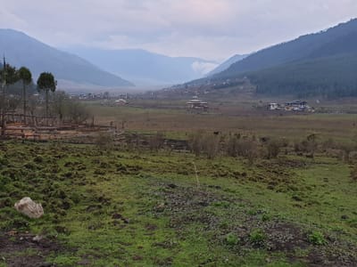 20190423_175926.jpg