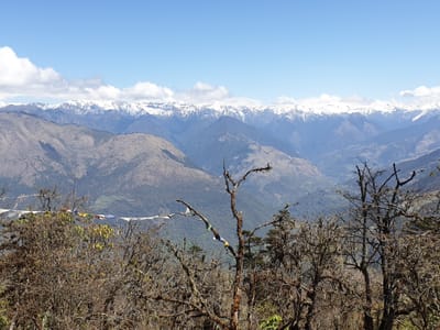20190424_103916.jpg