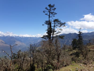 20190424_103935.jpg