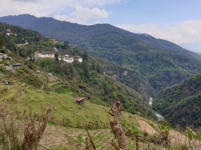 20190424_142400.jpg