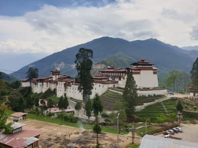 20190424_142830.jpg
