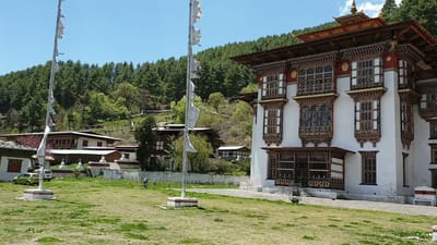 20190425_120833.mp4