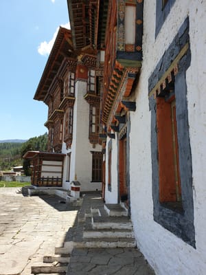 20190425_122409.jpg