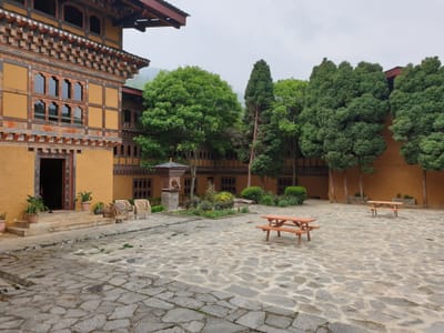 20190427_081642.jpg