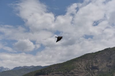 DSC_7376.JPG