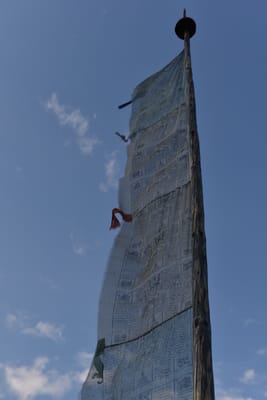 DSC_7431.JPG