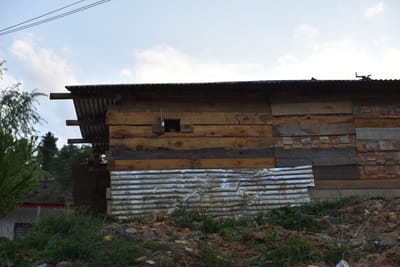 DSC_7436.JPG
