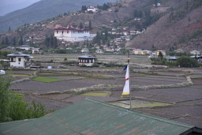 DSC_7451.JPG