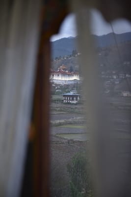 DSC_7459.JPG