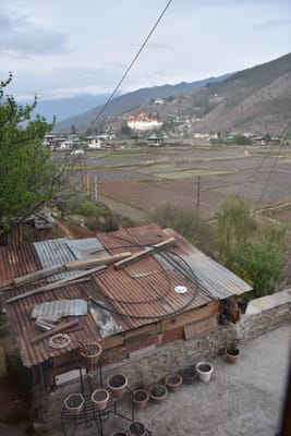 DSC_7462.JPG
