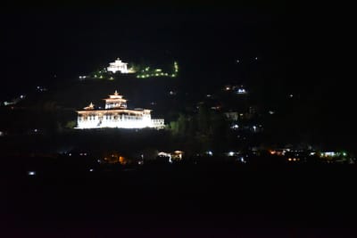 DSC_7463.JPG