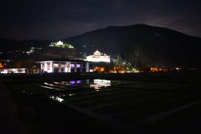 DSC_7481.JPG