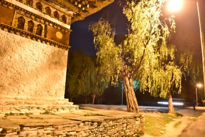 DSC_7484.JPG