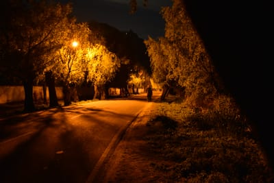 DSC_7485.JPG