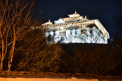 DSC_7487.JPG