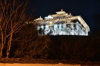 DSC_7488.JPG