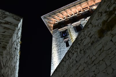 DSC_7504.JPG