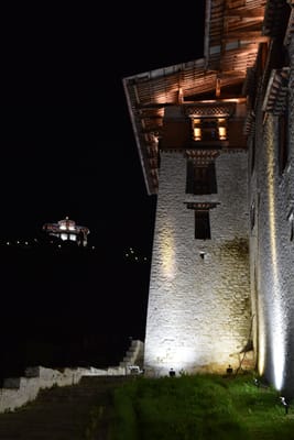 DSC_7513.JPG