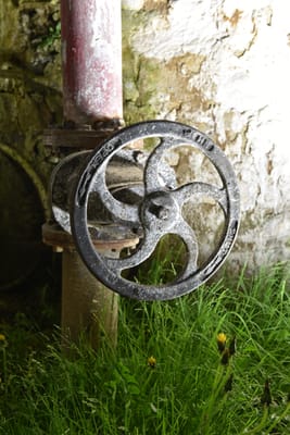 DSC_7516.JPG