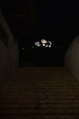 DSC_7526.JPG