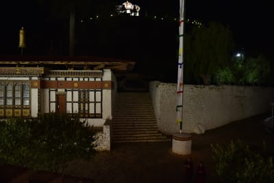 DSC_7530.JPG