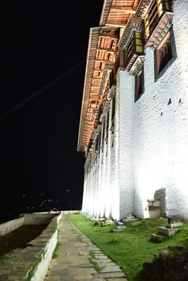 DSC_7531.JPG