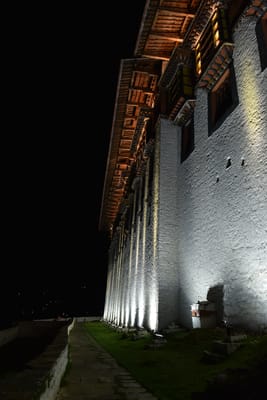 DSC_7532.JPG