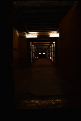 DSC_7537.JPG