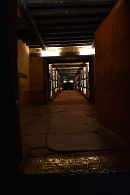 DSC_7538.JPG