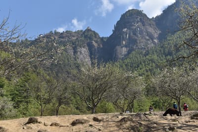 DSC_7549.JPG