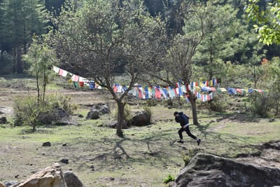 DSC_7550.JPG