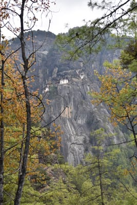 DSC_7566.JPG