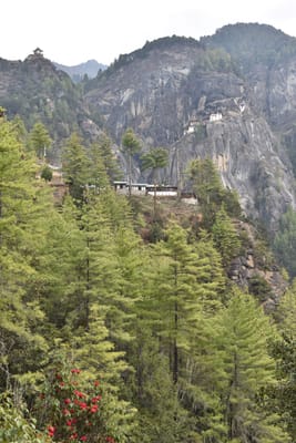 DSC_7567.JPG