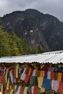 DSC_7573.JPG