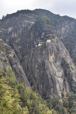 DSC_7578.JPG