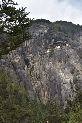 DSC_7610.JPG