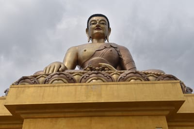 DSC_7626.JPG