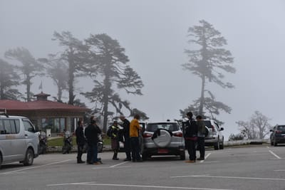 DSC_7650.JPG