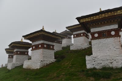 DSC_7667.JPG