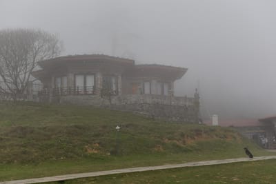 DSC_7675.JPG