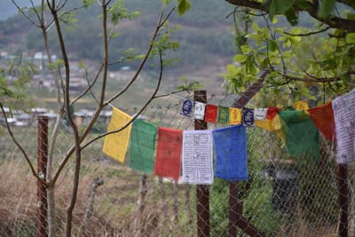 DSC_7708.JPG