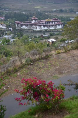 DSC_7718.JPG