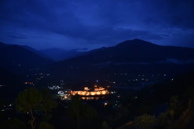 DSC_7728.JPG