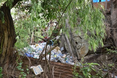 DSC_7758.JPG