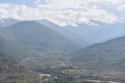 DSC_7785.JPG