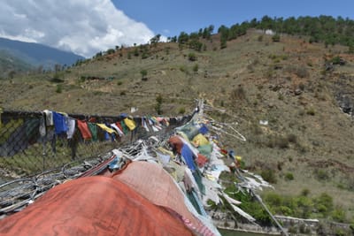DSC_7817.JPG