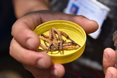 DSC_7828.JPG