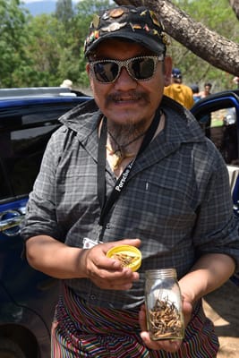 DSC_7829.JPG