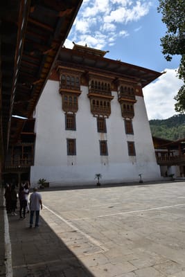DSC_7854.JPG