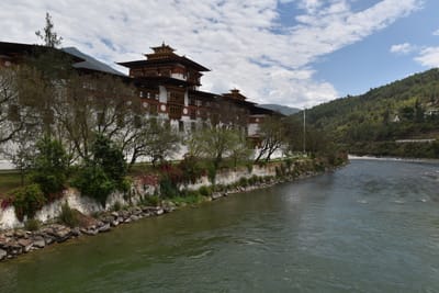 DSC_7872.JPG